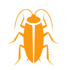 Cockroach
