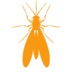 Mosquito