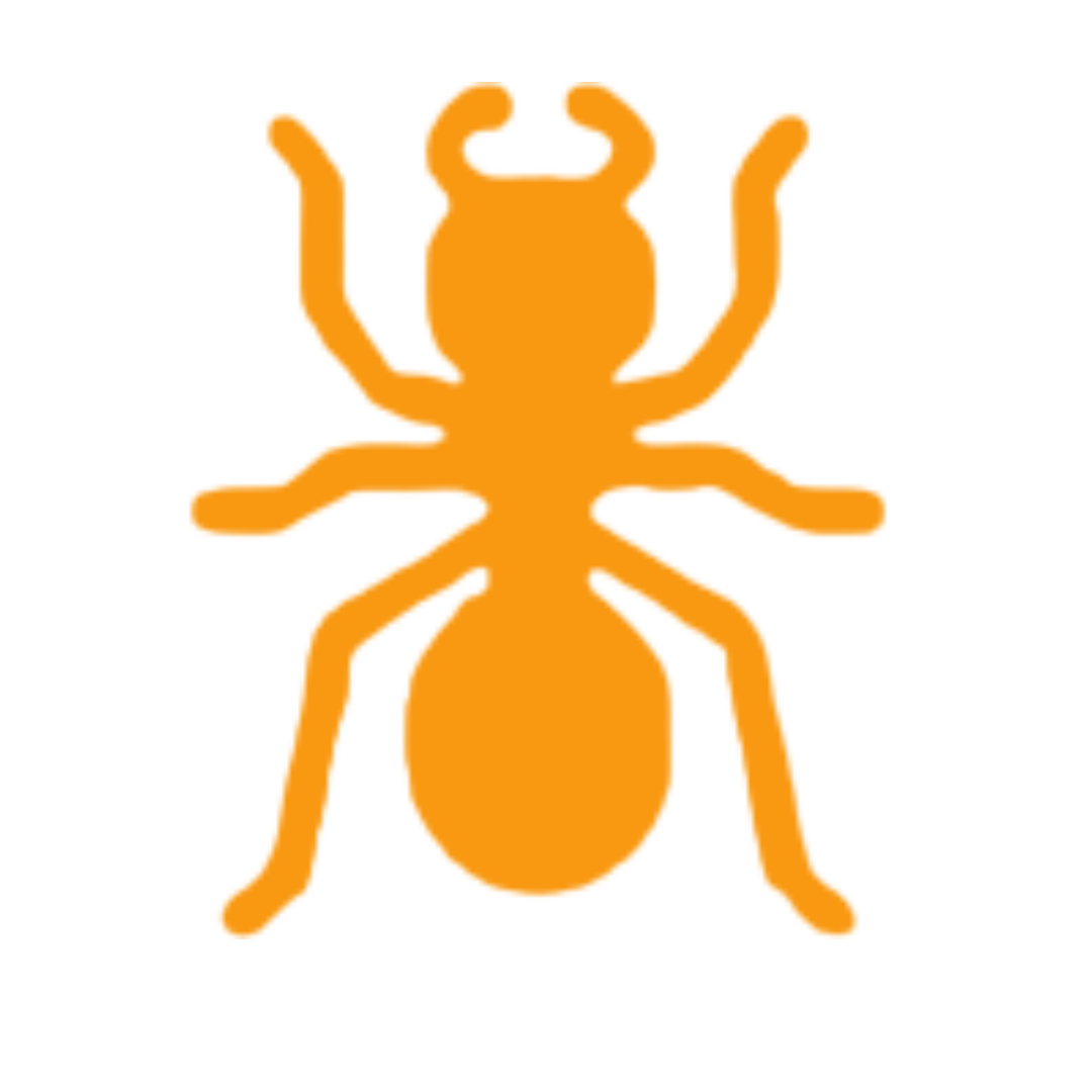 Ant
