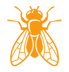 House Fly