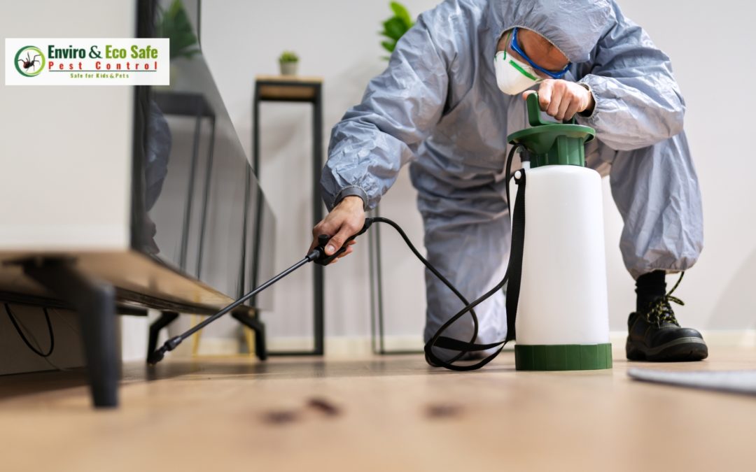 Residential Pest Control Perth: Protecting Homes with Safe & Effective Solutions