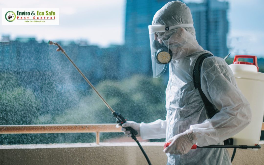 How to Manage Bird Infestations Safely with Eco-Friendly Bird Control in Perth