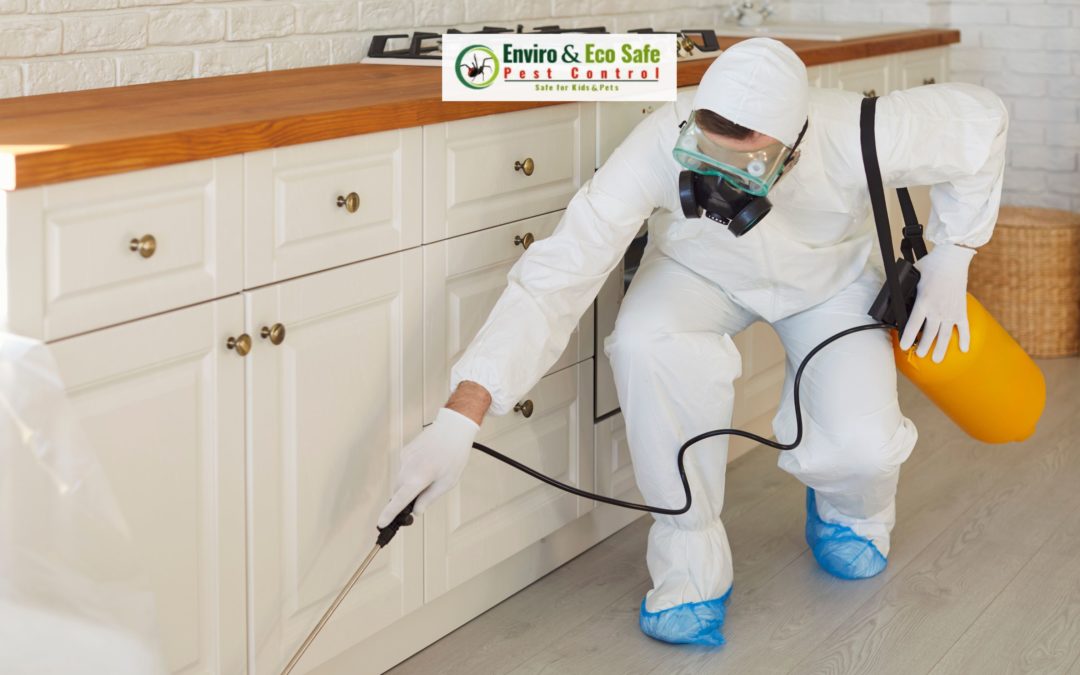 How to Get Rid of Cockroaches Naturally – A Complete Cockroach Pest Control Perth Guide